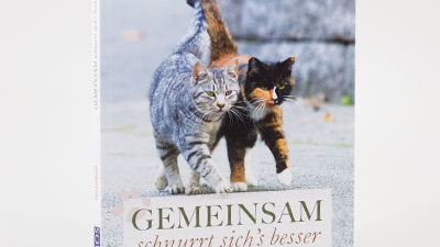 Das Buch "Gemeinsam schnurrts sichs besser" von Lena Landwerth