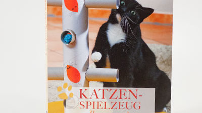 Das Buch "Katzenspielzeug selber machen" von Marianne Keuthen