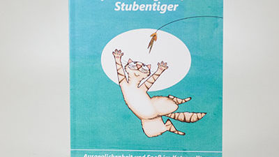 Das Buch "Spielstrategien für Stubentiger" von Christine Hauschild