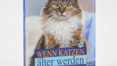 Das Buch "Wenn Katzen älter werden" von Susanne Vorbrich