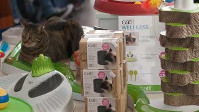 Verkaufstisch mit Catit Produkten