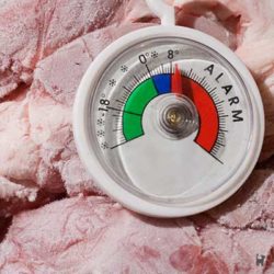 Gefrorenes Fleisch mit Thermometer