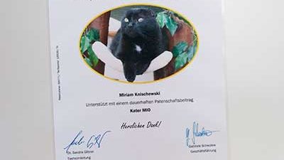 Patenschaftsurkunde des Tierheims München