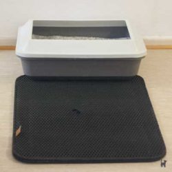 Pfotenolymp Katzenstreumatte vor Katzentoilette