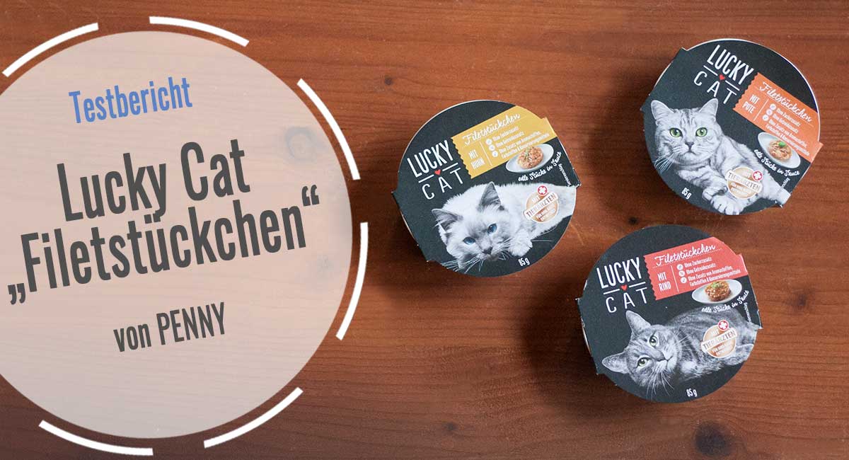 Lucky Cat "Filetstckchen" Nassfutter von PENNY im Test -  www.katzen-fieber.de