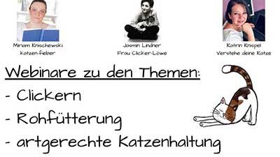 Unser Catlady Webinar-Projekt