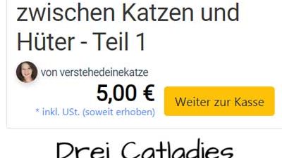 Screenshot der Webinarübersicht bei elopage