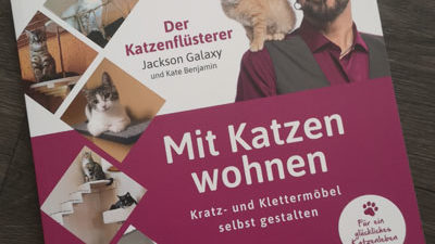 Wer Kratz- und Klettermöbel selbst bauen möchte findet hier zahlreiche Inspirationsquellen und hilfreiche Hinweise