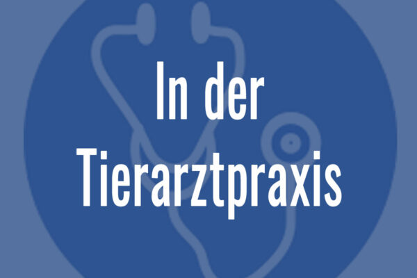 in-der-tierarztpraxis