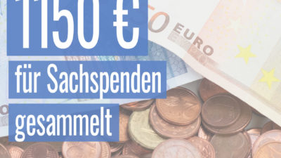 Dank euch konnten wir eine unfassbar große Summe für die Katzen im Tierheim Gelsenkirchen sammeln