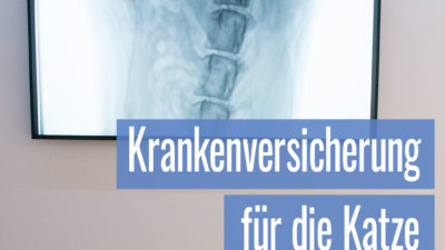 krankenversicherung-fuer-die-katze