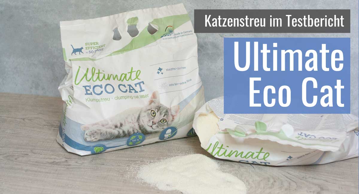 aufbewahrung von keksen Keksdose | Vorratsdose mit Bambusdeckel – 900 ml, stilvoll & luftdicht –  schnullidudi main image 0