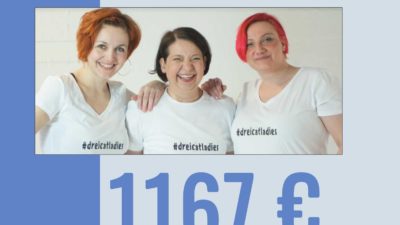 spendensumme-livewebinar-spielen_mit_katzen_2023 spendensumme-livewebinar-spielen_mit_katzen_2023