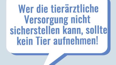 tacheles-tierartzkosten