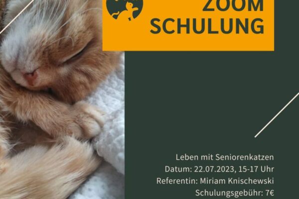 amelie-seniorenschulung-1024x1024-1