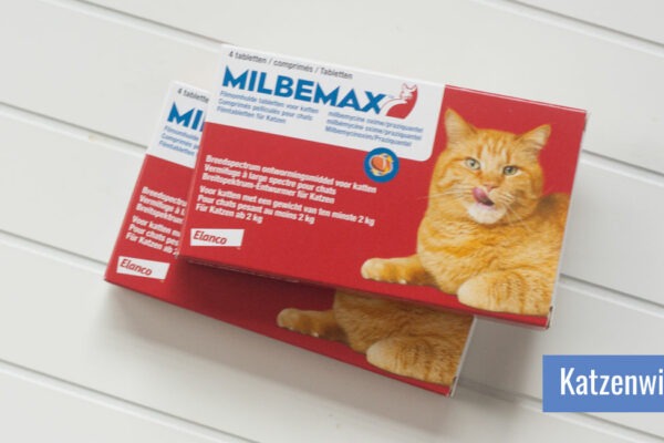 Zwei Packungen Milbemax Entwurmungsmittel