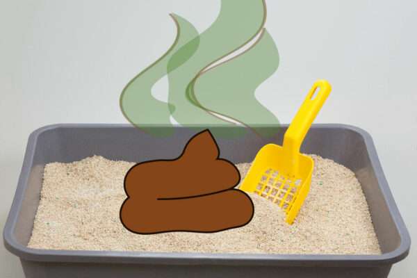 stinkendes_katzenklo