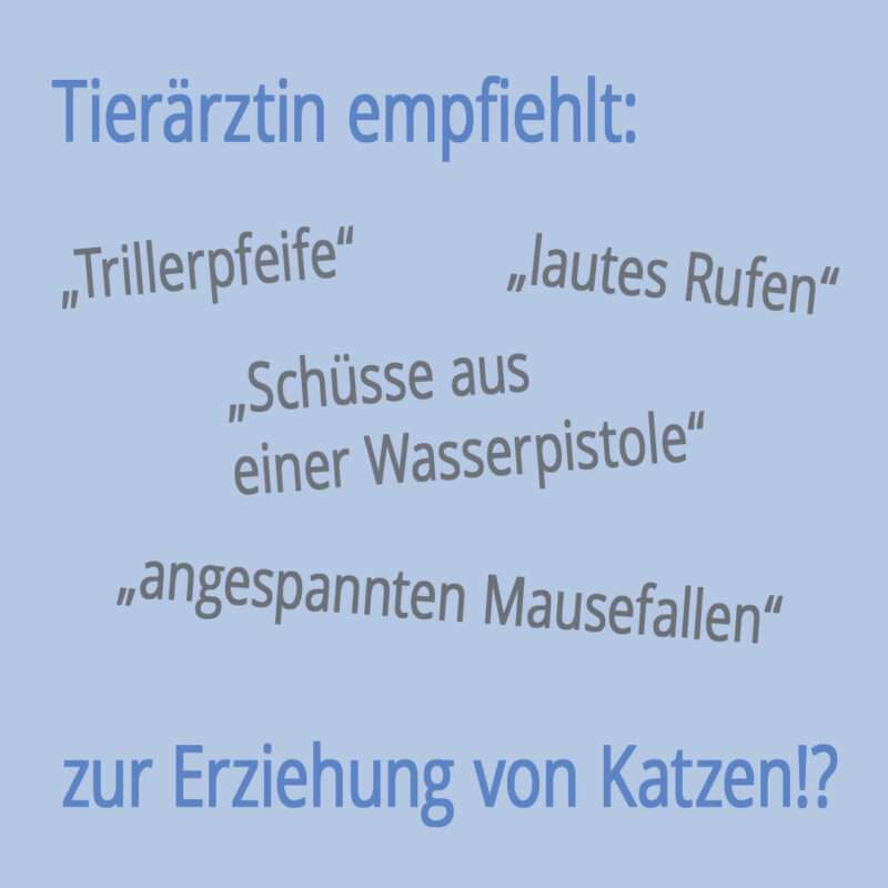 Die Grafik zeigt die verschiedenen Zitate aus dem betreffenden Magazinartikel