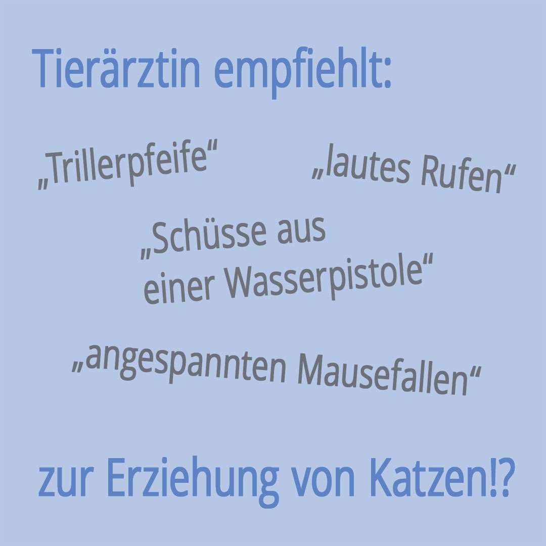 Die Grafik zeigt die verschiedenen Zitate aus dem betreffenden Magazinartikel