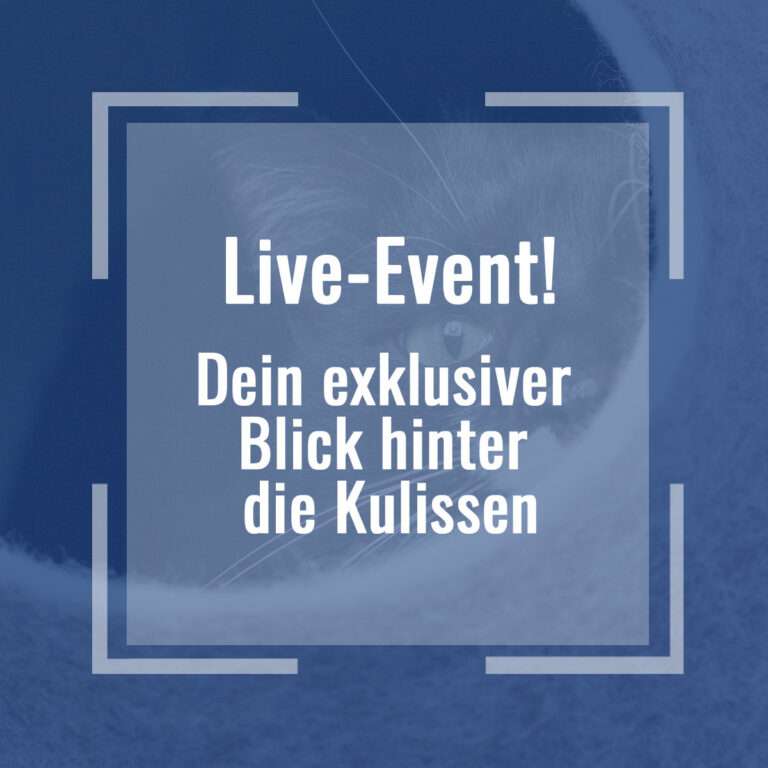 blick_hinter_die_kulissen