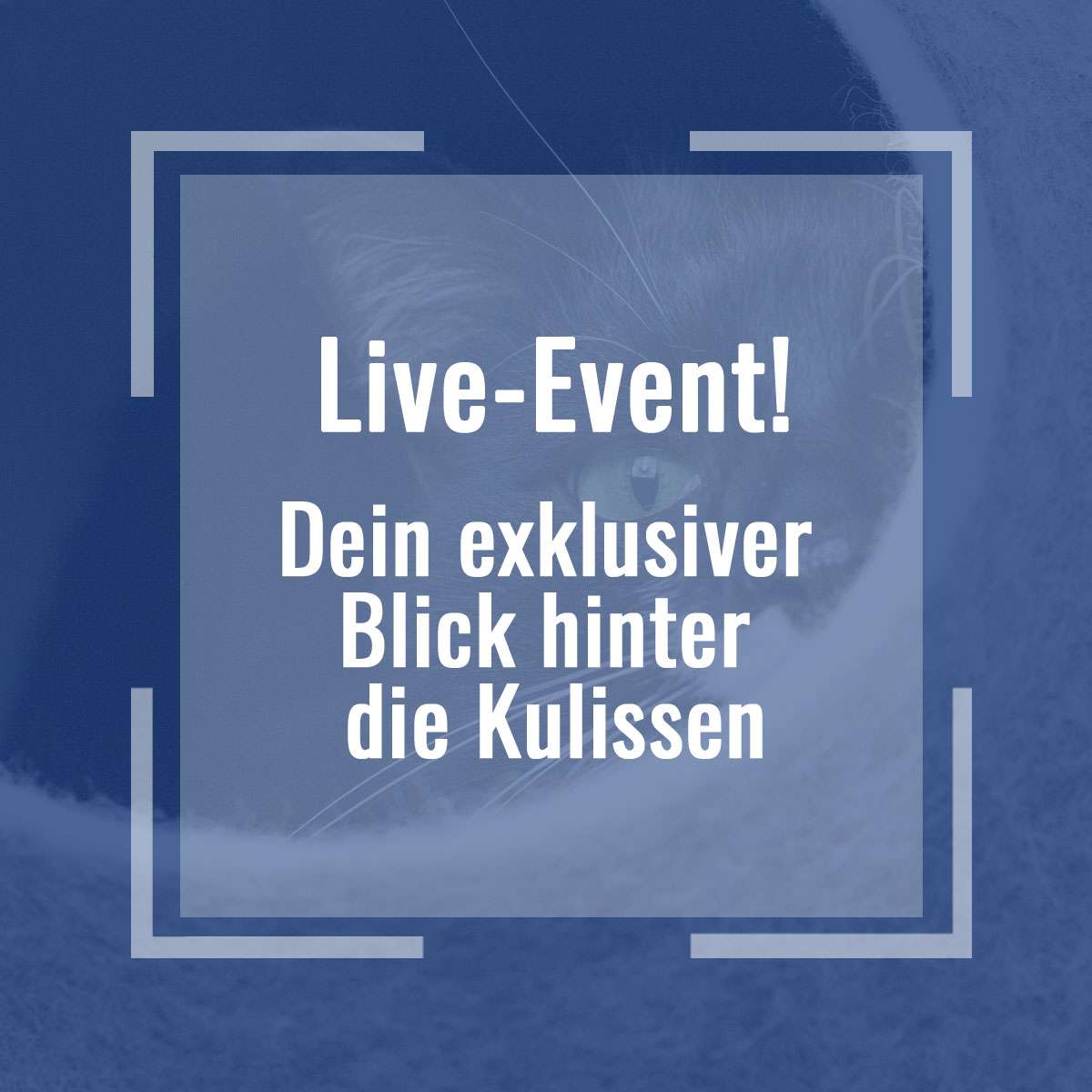 blick_hinter_die_kulissen