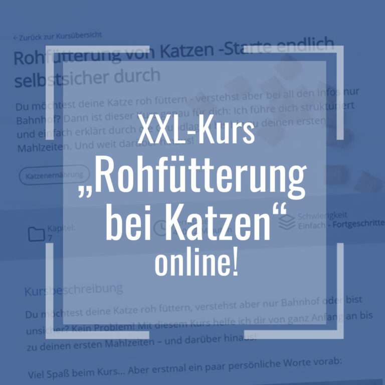 rohfuetterungskurs_online