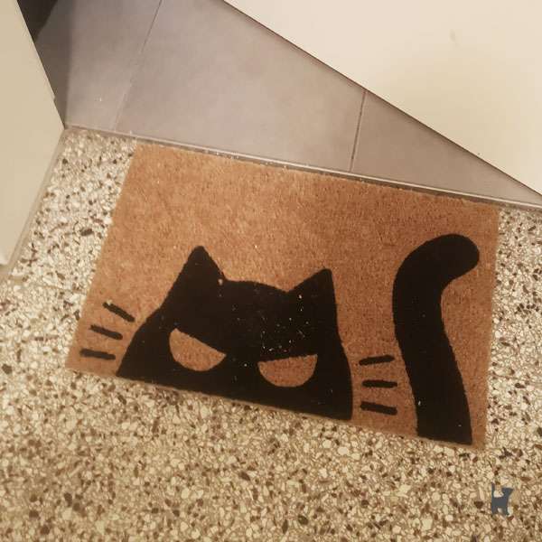 Das Foto zeigt eine Fußmatte mit Katzenmotiv auf dem Boden vor unserer Wohnungstür